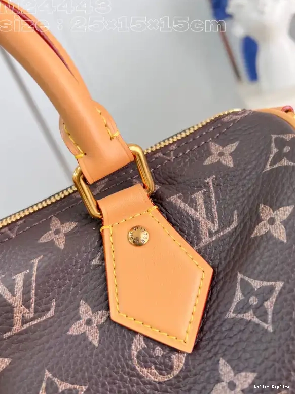 Affordable Louis SPEEDY 25 Vuitton 0707